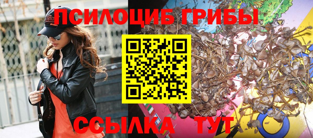 Псилоцибиновые грибы GOLDEN TEACHER  купить  сайты  Темрюк  Вход с VPN 