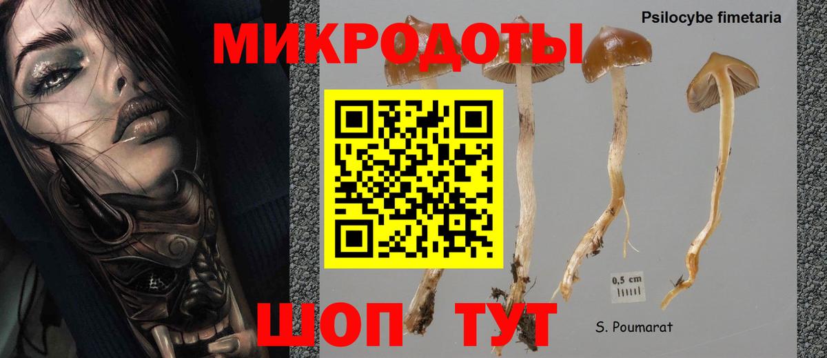 Псилоцибиновые грибы Magic Shrooms Темрюк